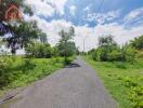 Scenic driveway leading to the property with lush surroundings