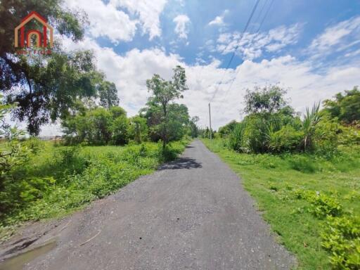 Scenic driveway leading to the property with lush surroundings