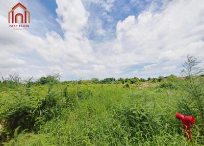 vacant land with greenery