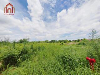 vacant land with greenery