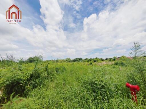 vacant land with greenery