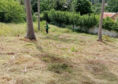 Open land area with some trees and a distant view of neighboring houses