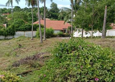 Well-maintained garden area with lush greenery and a distant view of houses