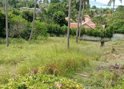 Spacious garden area with greenery and trees