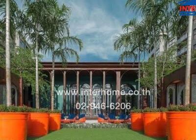 Outdoor area with large orange planters and palm trees in front of a building