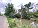 Serene outdoor setting with a water body and lush greenery