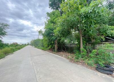 Quiet street with greenery