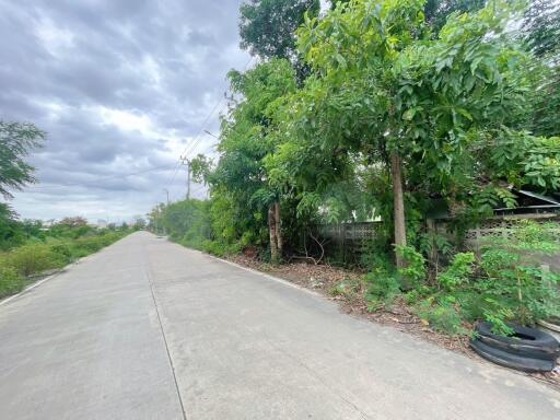 Quiet street with greenery