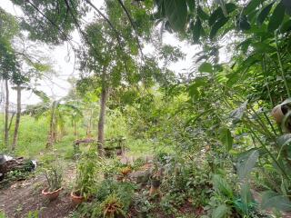 Lush green garden with various plants and trees