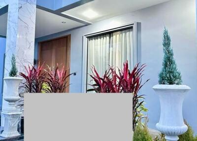 Modern building entrance with decorative planters