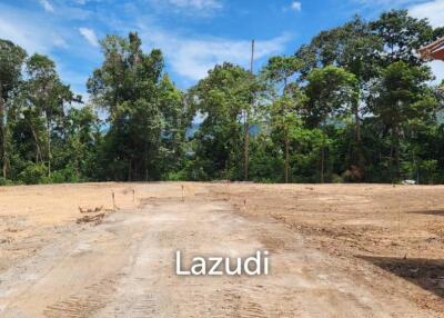 Prime Location Freehold Land for Sale in Bangrak