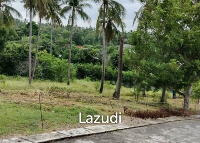 Land 1 Rai for sale in Bangrak, Ko Samui