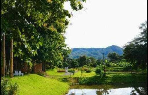 Chiang Mai Resort for Sale - 19.5 Million THB