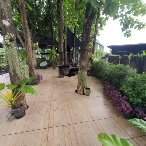 Chiang Mai Resort for Sale - 19.5 Million THB