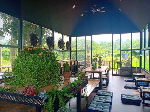 Chiang Mai Resort for Sale - 19.5 Million THB