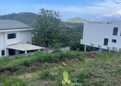 View of the backyard and adjacent houses