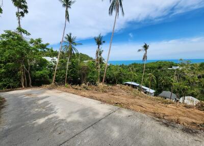 Scenic view with trees and ocean in the background