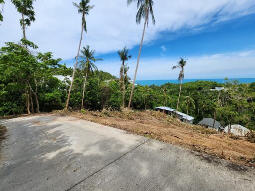 Scenic view with trees and ocean in the background