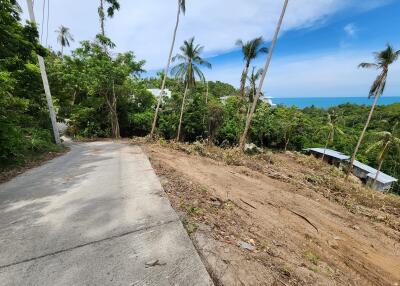 Scenic view of a road with adjacent land and palm trees