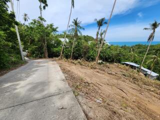 Scenic view of a road with adjacent land and palm trees