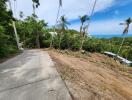 Scenic view of a road with adjacent land and palm trees