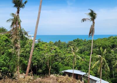 Ocean view with tropical greenery