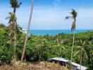 Ocean view with tropical greenery