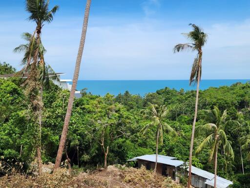 Ocean view with tropical greenery