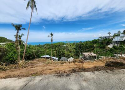 Scenic view of tropical landscape and ocean from the property