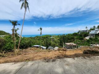 Scenic view of tropical landscape and ocean from the property