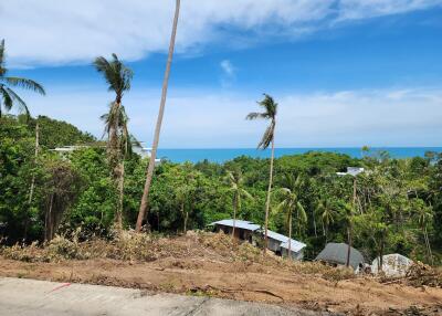 Scenic view of tropical landscape with ocean in the background