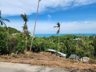 Scenic view of tropical landscape with ocean in the background