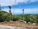 Scenic view of tropical landscape with ocean in the background