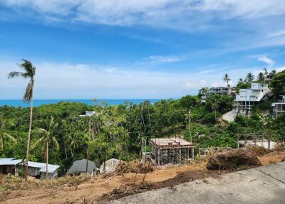 View of tropical landscape with green vegetation and sea