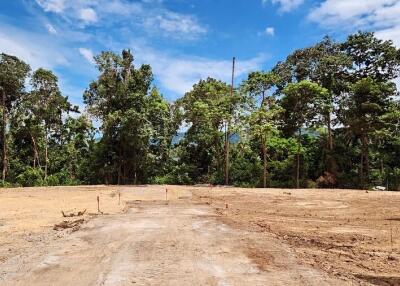 Cleared land plot with forest background