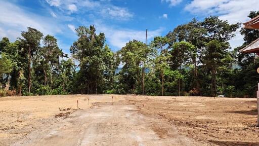 Cleared land plot with forest background