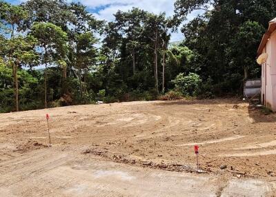 Unbuilt land area with trees in the background