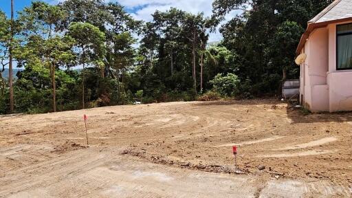 Unbuilt land area with trees in the background