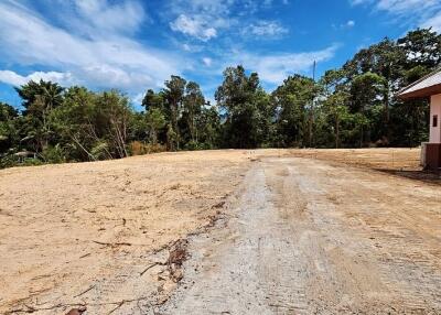 Empty plot of land with some surrounding trees and blue sky