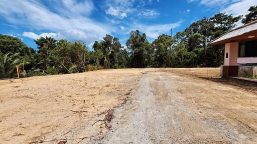 Empty plot of land with some surrounding trees and blue sky