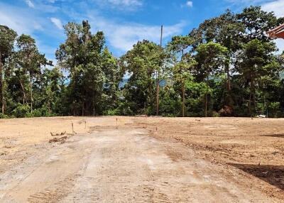 Spacious empty lot with surrounding trees