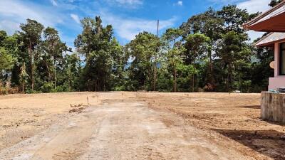 Spacious empty lot with surrounding trees