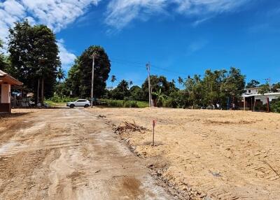 Open land with a dirt road and nearby vegetation