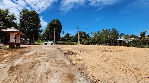 Open land with a dirt road and nearby vegetation