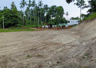 Vacant land with trees and building in the background