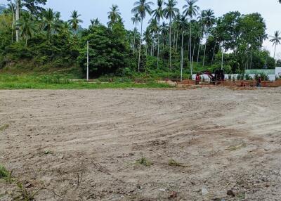 Cleared plot of land with trees and construction in the background