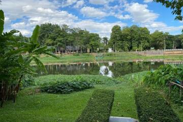 View of a garden with a lake in the background