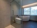 Modern bathroom with glass shower, bathtub, and large window