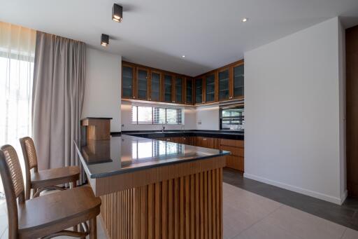 Modern kitchen with island and wooden cabinets