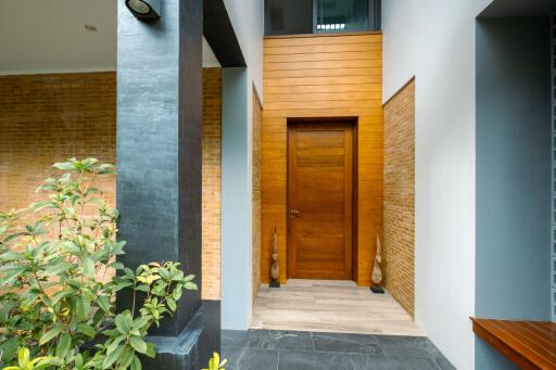 Front entrance with wooden door and modern design